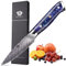 WILDMOK Couteau d'Office 9 cm en Acier Damas VG-10 67 Couches - Petit Couteau de Cuisine pour Fruits et Légumes