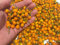 Chili Aji Charapita 10 Samen