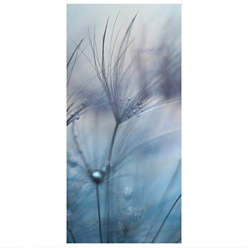 Bilderwelten Raumteiler Trennwand Blaue Federn im Regen Motiv 250x120 cm, ohne Halterung