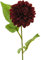 artplants.de Künstliche Blume Dahlie WANRU, Burgunderrot, 50 cm - Künstlicher Blumenzweig
