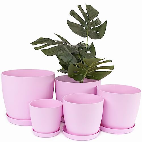 Home Garden Ornaments Pink Plant Pots Indoor Set of 5 Sizes 9.5/12/14/16/18cm – Plant Pot with Mat Sufrace - Plastic Flower Pots Outside - Plastic Plant Pot Saucers (Pink)