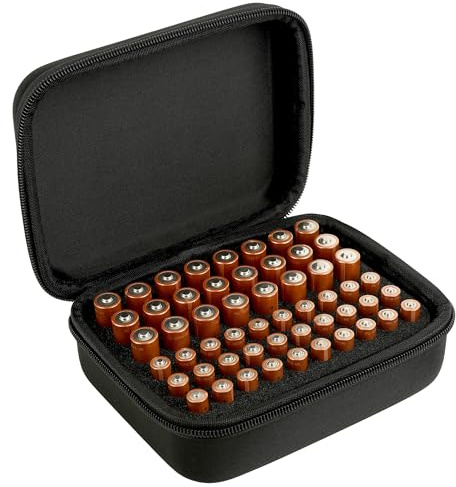Linkidea Small Hard Case Battery Organizer Storage Box, Portable Holder and Carrying Container for 54 AA AAA Cells, Compact Travel Storage Case (Black)