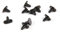 Planet Eclipse Ego/Etek/Etha/Geo/Gtek Ball Detent Parts Kit, 10 STK
