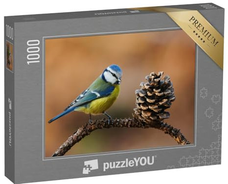 puzzleYOU: Puzzle 1000 Teile „Schöne Blaumeise, Cyanistes caeruleus, im Herbst auf einem kleinen Zweig“ – aus der Puzzle-Kollektion Vögel