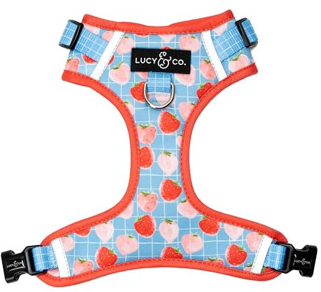 Lucy & Co. The Fresh Berries Hundegeschirr, kein Ziehen, Größe M, Weste gegen Ziehen und Spazierengehen, bequemes Trainingsprodukt mit verstellbaren Brust- und Nackengurten