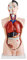 Anatomie Körper Anatomisches Modell Torso Puppe mit Organe 85 cm Menschlicher Medizinsche Koerper Human Body Anatomy Model Lebensgroß mit 19 Teile MedMod