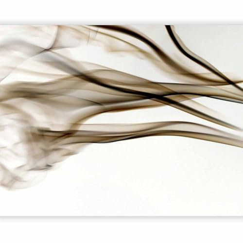 murando - Fototapete Premium-Vlies Abstrakt 100x77cm Foto Tapete Schlafzimmer Wohnzimmer Vliestapete XXL Wandtapete Motivtapeten Bildtapete 3d Effekt Wand Dekoration Flur Rauch Qualm beige weiß
