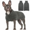Hundepullover Kleine Hunde, Hundemantel Winter Hundejacke Warme Hundepulli Strickpullover Welpen Pullover Dog Sweater mit Leinenöffnung für Chihuahua(Grau, S)