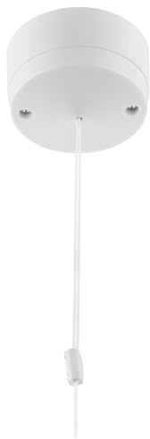BG Electrical Pull Cord Ceiling Light Switch for Bathrooms and Utilities, 2-Way, 1.5m Cord, Round Edge, Nexus 800 Series, White Moulded, 6A, 802-01