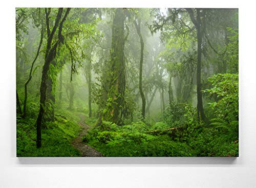 EIN Atemberaubendes Bild – Urwald im Nebel - als 200x150cm große XXL Leinwand. Tolles Wandbild als Hintergrund und Deko für Wohnzimmer & Schlafzimmer. Fertig aufgespannt auf 4cm Holz-Keilrahmen