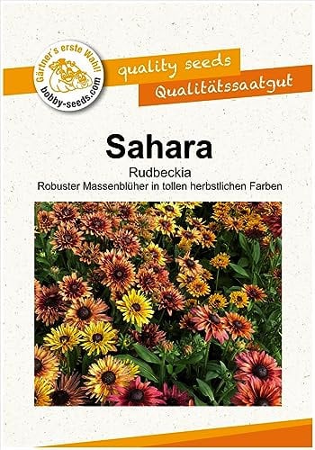 Blumensamen Sahara Sonnenhut-Rudbeckie Portion