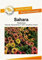 Blumensamen Sahara Sonnenhut-Rudbeckie Portion