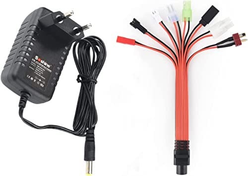 Aliwisdom Universel Chargeur Batterie RC pour 2.4V-12V (2S-10S) NIMH & NICD Batterie avec SM 2P, Tamiya/KET 2P, XH 2.54, Mini Tamiya, Huanqi, JST, Futaba/JR, T Plug Connecteur Câble pour Voiture RC