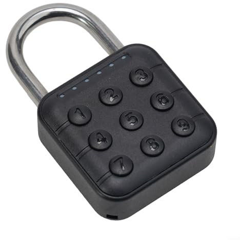 Hasaller Cadenas à combinaison étanche pour empreintes digitales Tuya - Pour graffiti - Pour étudiant - Petit cadenas (mot de passe)