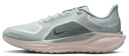 Nike Pegasus 41 Gore-Tex Wasserdichter Straßenlaufschuh Für Herren, Light Pumice/Metallic Silver, FQ1356-007, 46 EU (12 US)