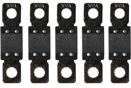Victron 80V Sicherungen 100A (5 Stück)