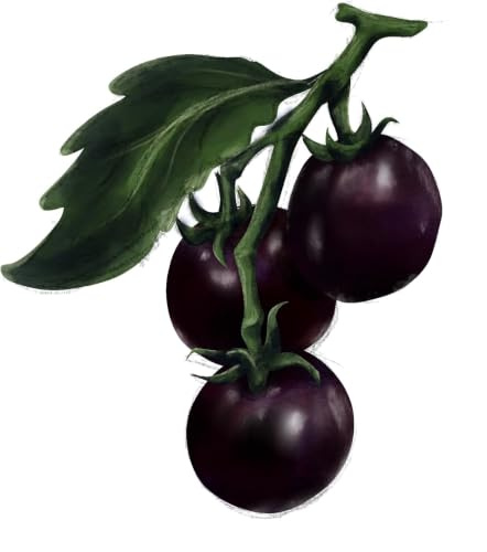 Tomatensamen Black Cherry – süß-würzige Cocktailtomate mit rauchigem Aroma | Ertragreiche, samenfeste Sorte aus Portugal | ca. 25 Samen – nachhaltig & plastikfrei verpackt | Love My Nature