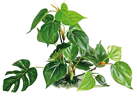 Amtra Wave Anubias Plante Réplique pour Aquariophilie 30 cm