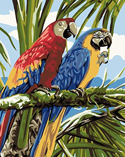 QHDXL Peinture par Numéros pour Adultes Deux Perroquets Kit de Peinture à l'huile de Bricolage avec Chiffres pour débutants Enfants et Adultes 40x50cm sans Cadre