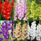 Gladiolen zwiebeln,Winterharte mehrjährig,Seltene Pflanzen,dekorative Blumen,gladiolen blumenzwiebeln mehrjährig,Gladiolen knollen,Gartenzwiebeln,gladiolen mehrjährig winterhart.-5 zwiebeln-G
