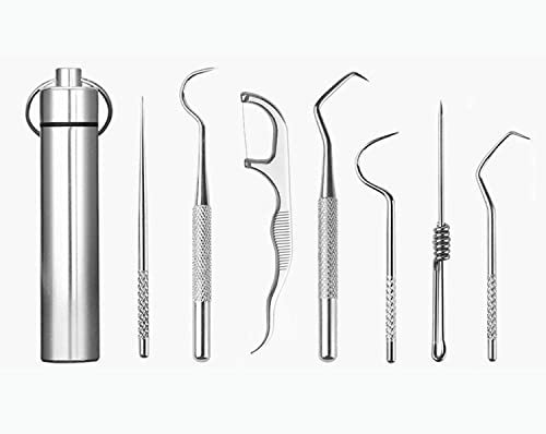 JDGMEI 8 Pcs Edelstahl Zahnstocher Metall Zahnreiniger, Schlüsselbund Zahnstocher Tragbarer Reise Zahnstocher Schaber für Außenbereich Picknick und Camping