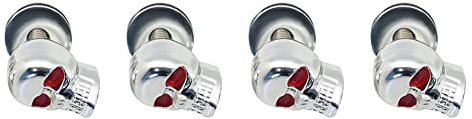 Viti Telaio Targa Logo Del Teschio, Asudaro 4 Pezzi Viti Universali per Targa Auto Moto Bulloni Viti Targa Teschio Kit di Ricambio Viti Telaio Targa Auto