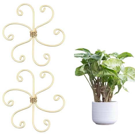 Kinretixia 2 soportes para troncos de plantas, soporte de hierro duradero para monstera y plantas trepadoras, juego de pinzas de bambú para estabilizar y apoyar las hojas