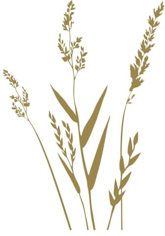 CLICKANDPRINT Aufkleber » Gräser, 30x21,1cm, Gold • Wandtattoo/Wandaufkleber/Wandsticker/Wanddeko/Vinyl