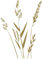CLICKANDPRINT Aufkleber » Gräser, 30x21,1cm, Gold • Wandtattoo/Wandaufkleber/Wandsticker/Wanddeko/Vinyl