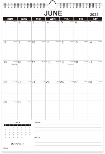 Monyes 2020 – Juni 2021 Wandkalender, 43,2 x 30,5 cm, akademischer Schreibtischkalender für Terminplaner, Schreibtischkalender mit Spiralbindung