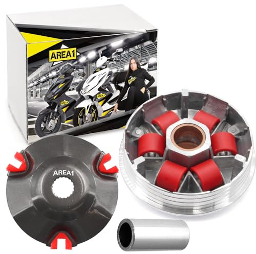 Area1 Tuning Variomatik kompatibel mit 50ccm 2Takt TPH Zip NRG mc2 mc3 Power Liberty Free SR 50 R Racing Sport Street Sportcity MY Motard Runner Stalker ET2 S Primavera