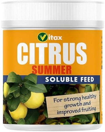 RYYN® Vitax Summer Food for Citrus Trees House Plant Feed Fertiliser 200g Fruit Tree Orange Lemon