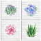 Leinwandbild Set 6617 Sukkulenten Pflanzen Aquarell 4-teilig 30x30 cm Wanddeko Boho Natur Vintage Kunst Druck modern