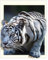 Puzzle 1500 Teile,Holzpuzzle,Puzzle Für Erwachsene,Geschicklichkeitsspiel Für Die Ganze Familie - 3D Weißer Tiger