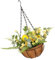 HOMSFOU Hängender Korb für Zitronen-Blumenarrangements künstliche blumen im freien grünes Anlage Girlande hängender Blumentopf Blumenkorb für drinnen Kokos Pflanze Blumenbehälter