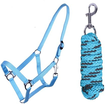 ARBO-INOX Halfter-Set Beginner de lux - Halfter + Führstrick - graue Akzente - verstellbar (Shetty, Hellblau)