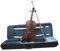Exquisite Geige für Fortgeschrittene, Musikinstrument mit Etui, Klassisches Streichinstrument