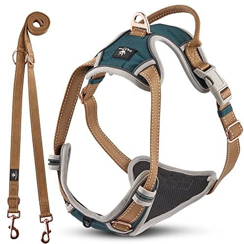 Dog & Dress Hundegeschirr & Hundeleine Set – Verstellbares, Gepolstertes & Reflektierendes Geschirr für Hunde – Atmungsaktives Hundezubehör für große & mittelgroße Hunde - Grün, M 59-76cm Brustumfang