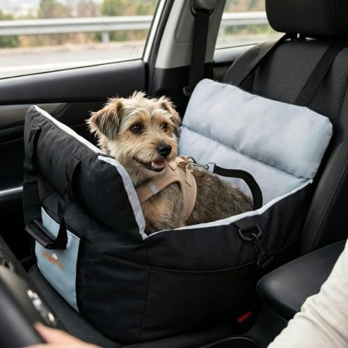 BingoPaw Hunde Autositz für kleine bis mittlere Hunde, Waschbar Tragbar | Hundeautositz mit Sicherheitsleine und Abnehmbarem Bezug, Hundesitz für Vorder- oder Rücksitz, Hundebett Auto Reise, Schwarz