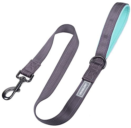 VIVAGLORY Dailyx Hundeleine, Welpenleine Hausleine Joggingleine Für Hunde, Hundeleine mit Schlaufe Und Gepolstertem Griff, Reflektierend & Gepolstert, 90 x 2.5cm, Grau