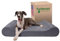 Furhaven Orthopädisches Hundebett für extra große Hunde mit abnehmbarem, waschbarem Bezug, für Hunde bis zu 81,6 kg – Mikrosamt-Luxe-Liege, Konturmatratze – Grau, Riesen/XXXL