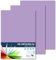 RAYLU PAPER – Tonpapier A4, 100 Stück Kartonpapier 180g/m², 210 x 297 mm, professionelle farbige Kartons für Büro, Kopierpapier, Buntes Papier zum Basteln (Violett)