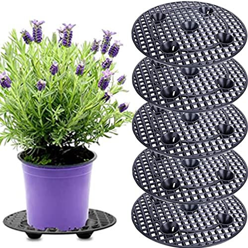 6Pcs Plant Level Pot Elevator,20 cm / 8 Inch Heavy Duty Plant Stands, Black Round Plant Flower Pot Holder Plastic Plant Risers for Indoor Outdoor Garden Deck Floor Protector