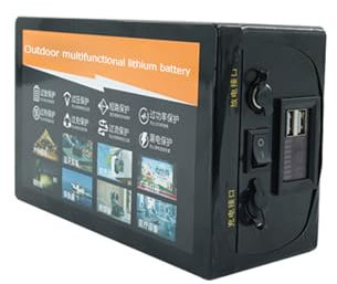 WILLQ 12V 30Ah 20Ah Lichtkasten-Lithium-Batterie, große Kapazität, Polymer-Li-Ionen-Batterie, Lautsprecher, LED-Xenon-Lampe, wiederaufladbare Batterie, 200 x 120 x 75 mm,12v30ah