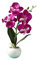 hqclothingbox Orquídea Mariposa Artificial Flores Plantas en Maceta Decoración Falsa para Bodas Fiestas y Hogar (Púrpura)
