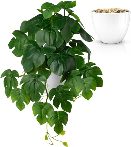 PASCH® Künstliche Hängepflanzen: Monstera künstlich | künstliche Pflanzen wie echt | Kunstpflanzen hängend | Kunstpflanze hängend im Topf | Hängepflanze künstlich mit Topf (Monstera Deliciosa, 36cm)