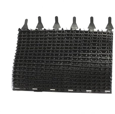 Brosses picots pour Zodiac Indigo - Voyager - Sweepy Free