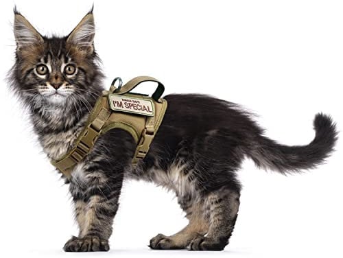 Pettorina tattica per gatti a prova di fuga, in morbida rete, regolabile, per gatti di taglia grande, cani di piccola taglia (M, kaki)