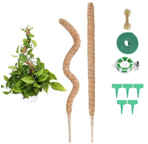 HXC-BLG 2 Pack 125 cm Moosstab Pflanzenstab Monstera Rankhilfe Biegsame Moosstab Monstera Stab Pflanzstab Monstera für Kletterpflanzen Pflanzenname Pflanzzeit Pflanzenunterstützung