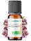 Huile Essentielle BIO de Marjolaine à coquilles 5ML - Certifiée AB - 100% Pure & Naturelle, Chémotypée HEBBD - Pratiques agricoles durables - Analysée et conditionnée en France